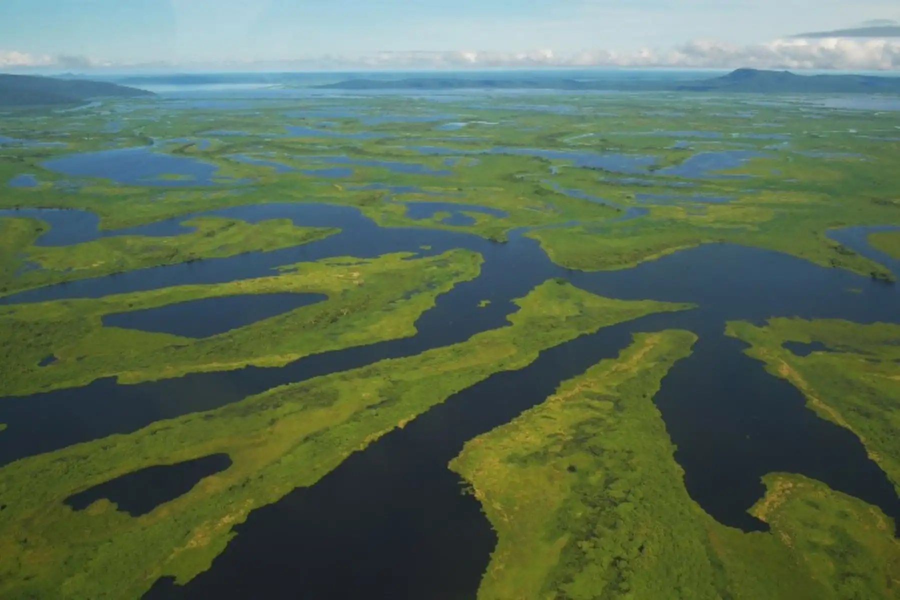 El Pantanal es el humedal más grande del planeta ubicado en Brasil, Bolivia y Paraguay, cubre más de 170.500 km2 y alberga más de 4.000 especies de plantas y animales.Foto:AFP