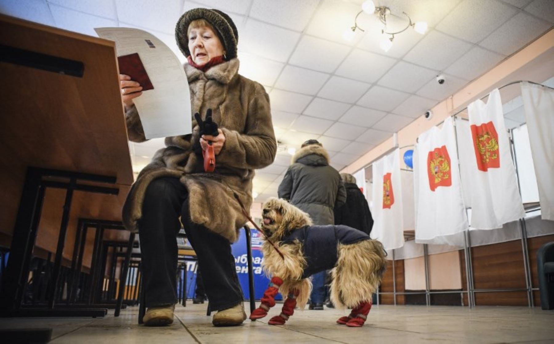 Una mujer con un perro lee su boleta en una mesa de votación durante las elecciones presidenciales de Rusia.Foto:AFP