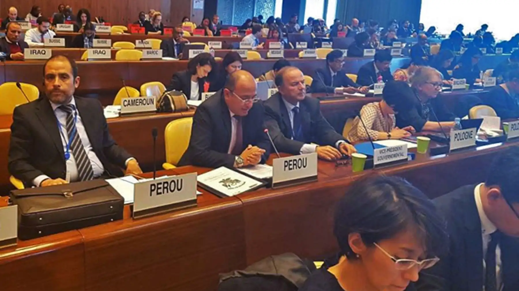 El viceministro Manuel Vásquez, en representación del Estado peruano, participa en la 332.ª Reunión del Consejo de Administración de la OIT, Cortesía.