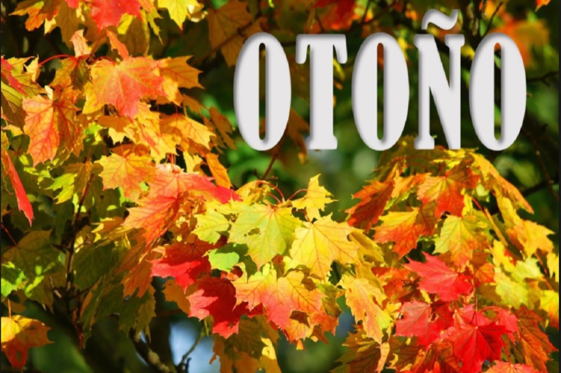 La estación del otoño se inicia hoy martes 20 de marzo a las 11:15 horas.