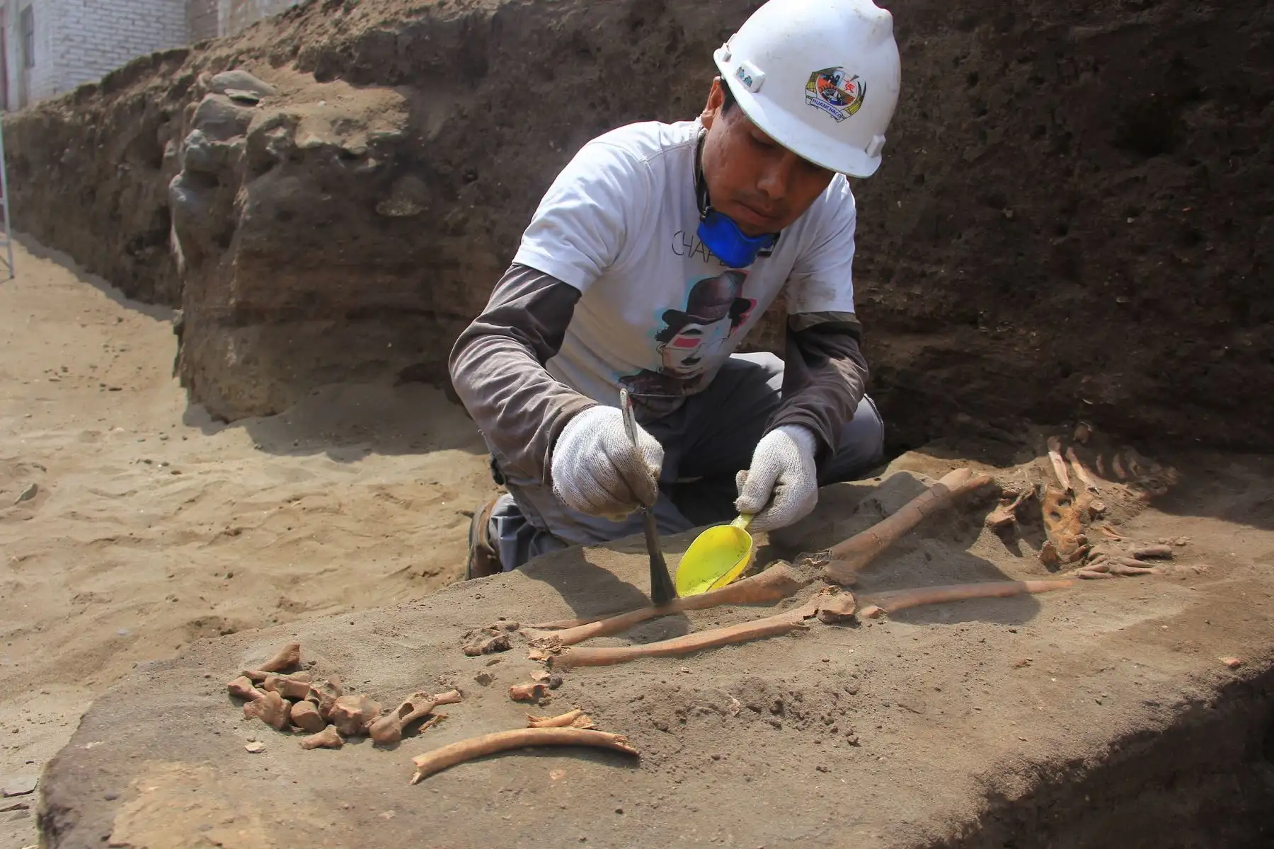 Hallan 47 entierros de más de 2,500 años, cerámicos, spondylus y otros objetos en Huanchaco, Trujillo. ANDINA/Luis Puell
