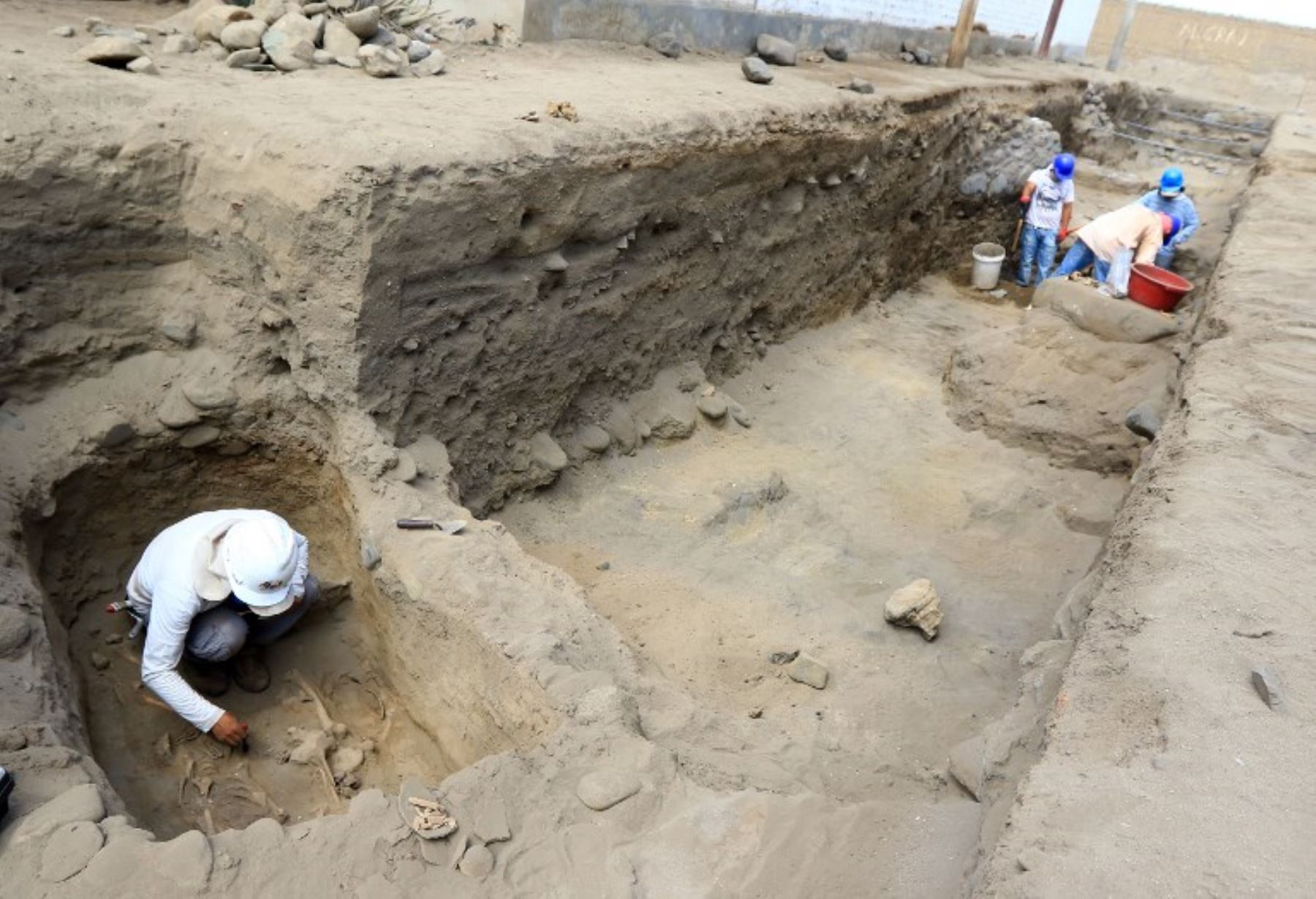Un arqueólogo trabaja en un sitio de excavación donde se encontraron restos humanos que datan de más de 1,500 años, en el pueblo costero norteño de Huanchaco.Foto:AFP