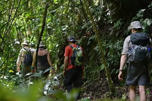 La ciudad del Cusco será sede los días 18 y 19 de julio del foro “Promoviendo la investigación científica de la biodiversidad en las áreas naturales protegidas”, evento organizado por el Sernanp. ANDINA/Difusión