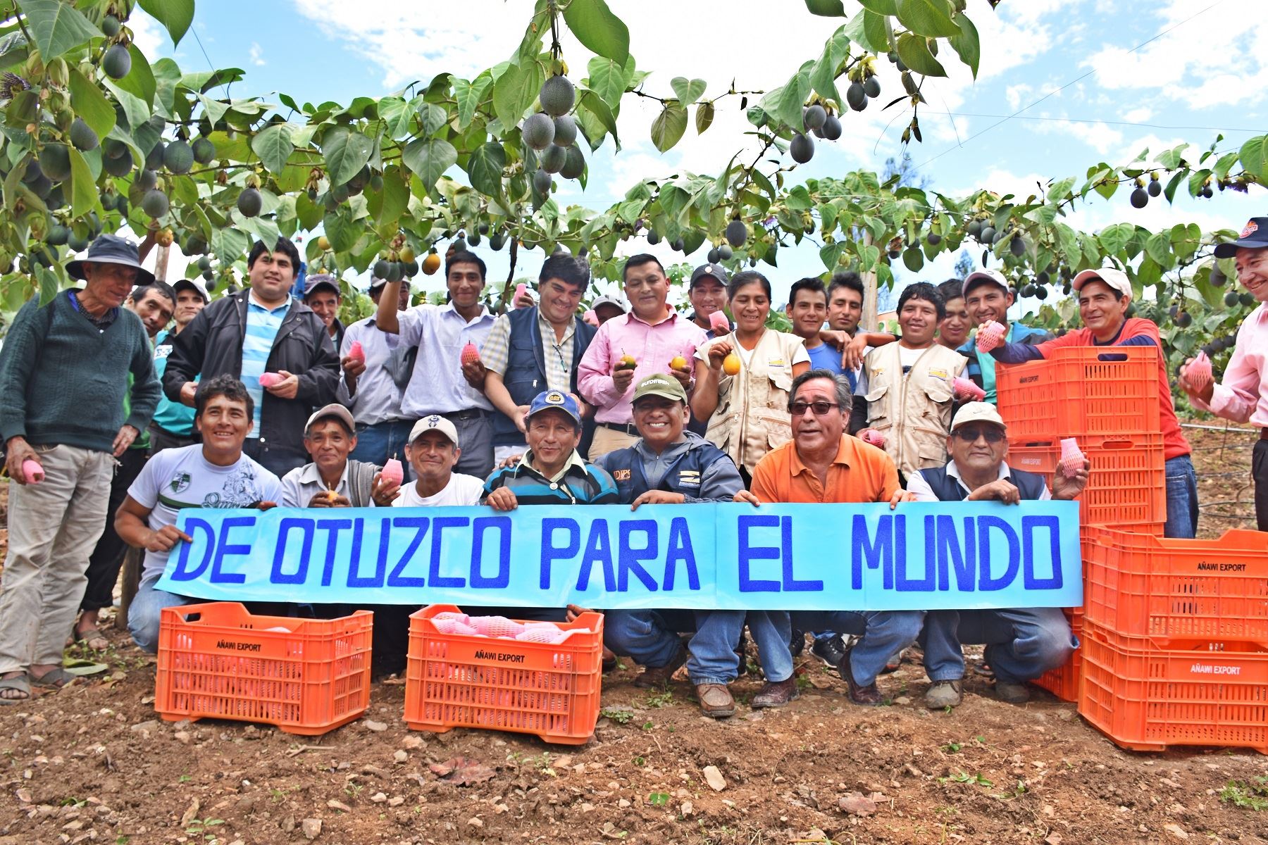 Exportación de granadilla a Europa beneficia a productores de Otuzco.Foto:  ANDINA/Difusión