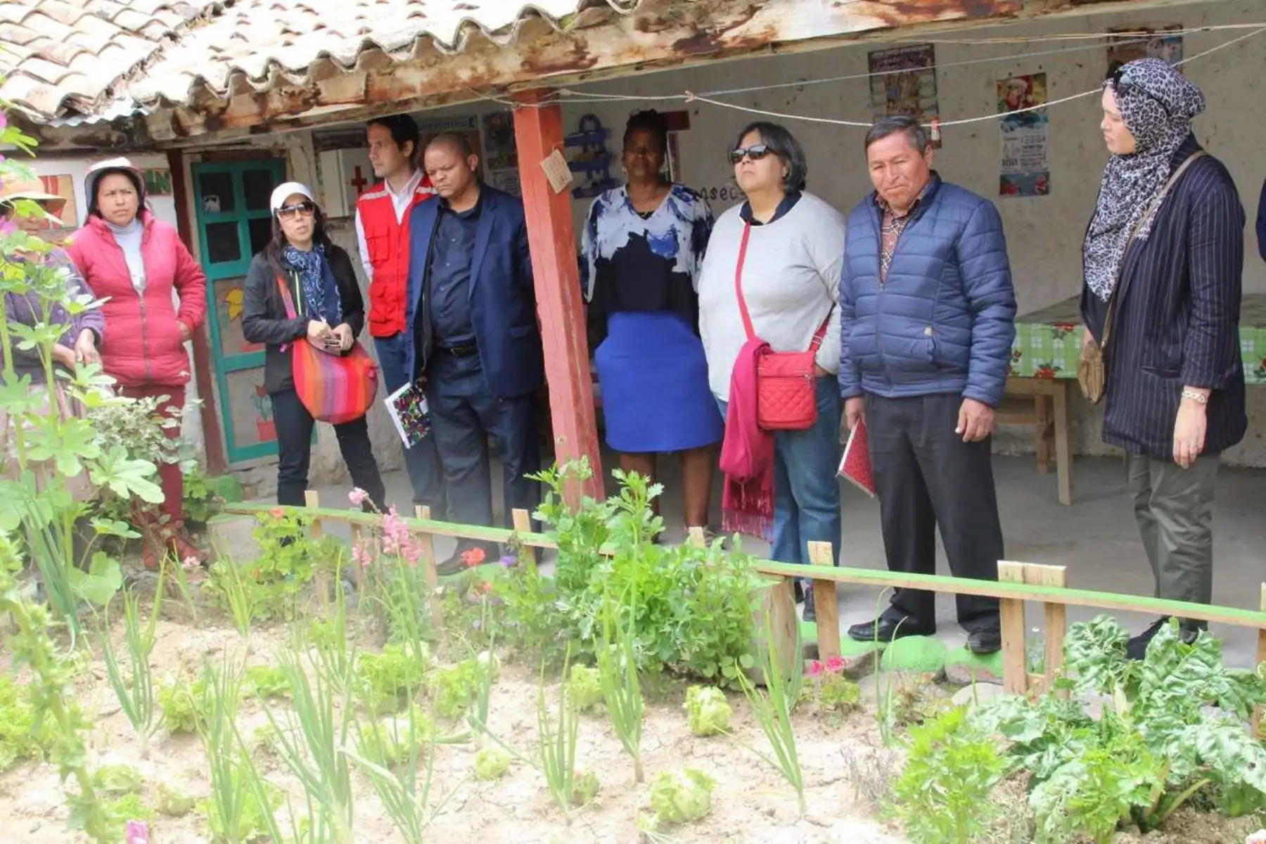 Una delegación de funcionarios del gobierno sudafricano visitó a usuarios del proyecto Haku Wiñay del Foncodes en el distrito de Chambará, provincia de Concepción, región Junín, y comprobó los avances e impactos de este proyecto productivo que contribuye a la seguridad alimentaria y la autonomía económica de la población más pobre.