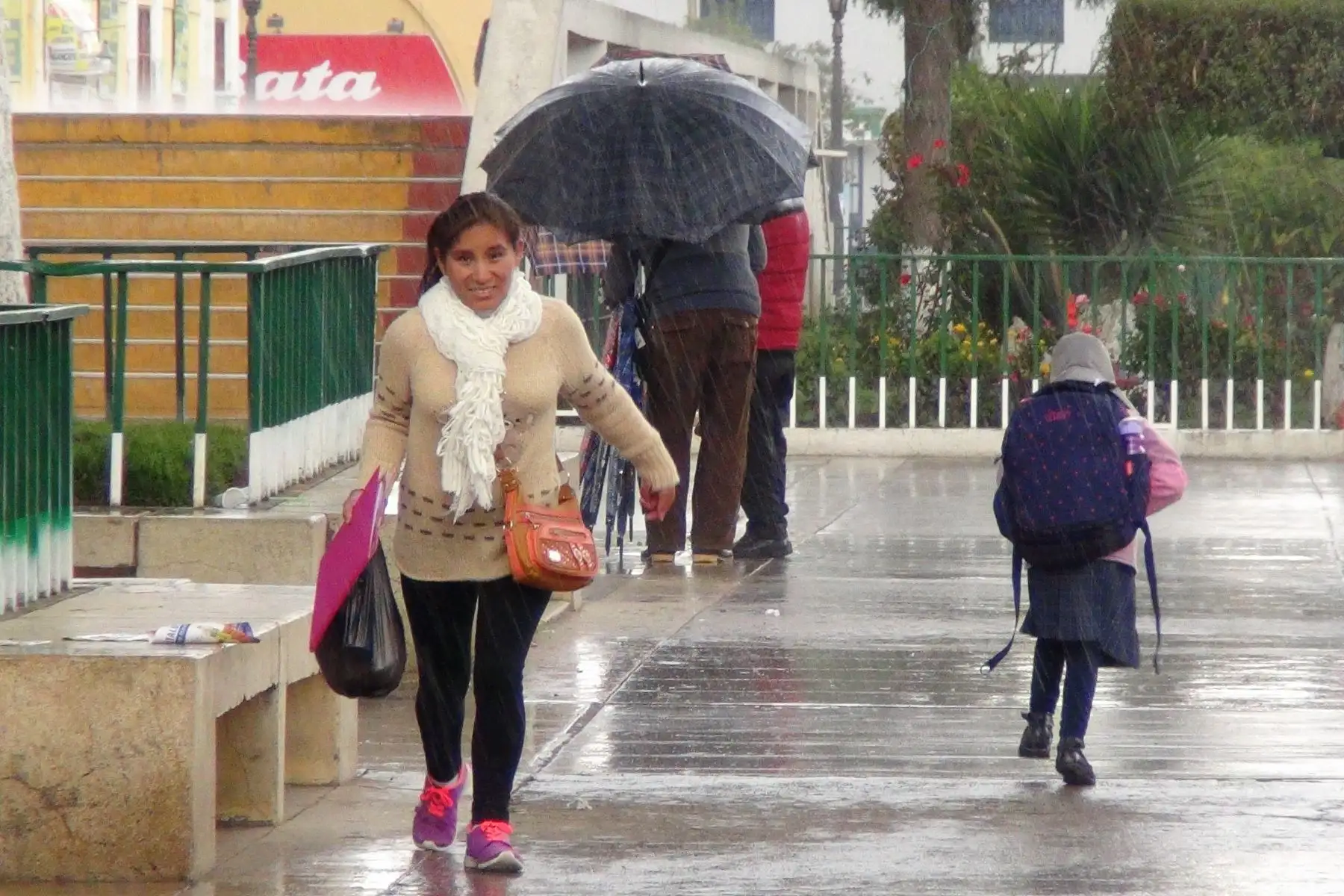 En zonas altas de la sierra se presentaría nieve. ANDINA/Pedro Tinoco
