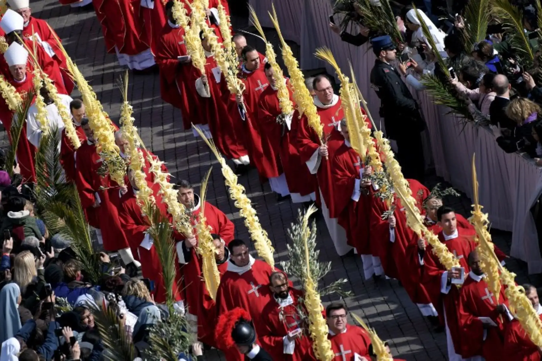 Cardenales y obispos caminan en procesión sosteniendo palmas durante la misa del Domingo de Ramos en la plaza de San Pedro.Foto:AFP