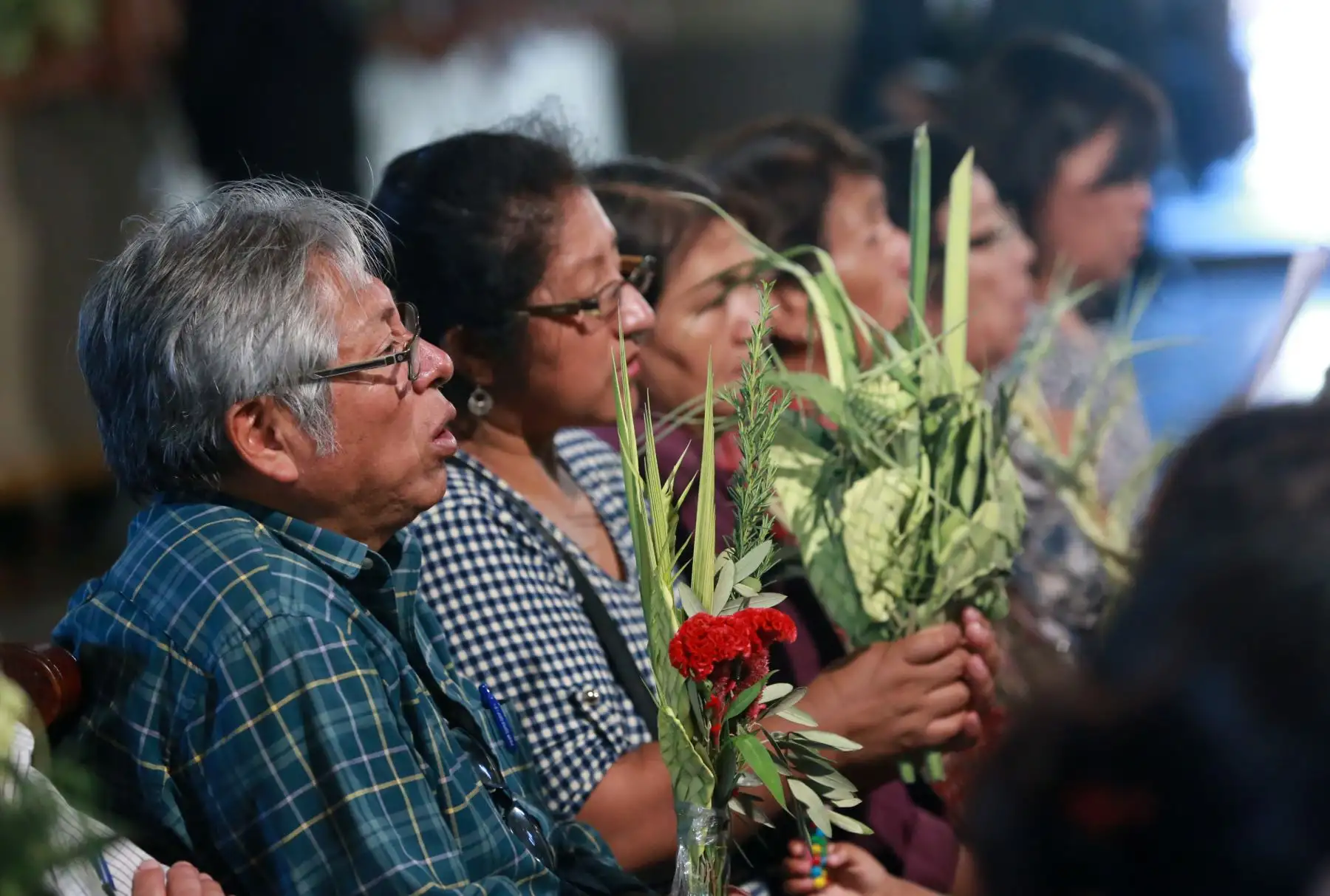 Fieles católicos , con palmas de olivo, en la  misa de Domingo de Ramos, en la catedral de Lima. Foto: ANDINA/Norman Córdova