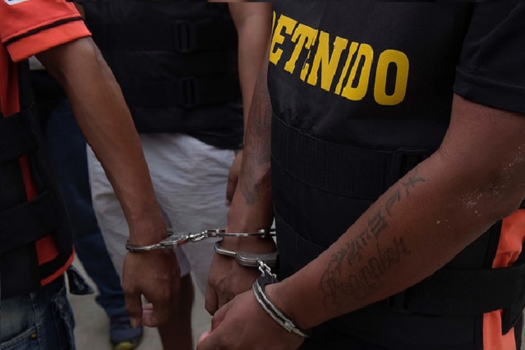 Las detenciones se realizaron en las regiones de Lima, Cajamarca, Ica, Piura, Arequipa, Áncash, y Puno.