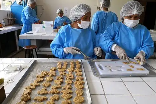 En Huánuco aprenden a elaborar hamburguesa de peces amazónicos.Foto:  ANDINA/Difusión.