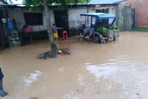 Lluvias intensas en los distritos de Palcazu y Pozuzo, en la región Pasco, han ocasionado el desborde de ríos. Foto: ANDINA/Difusión