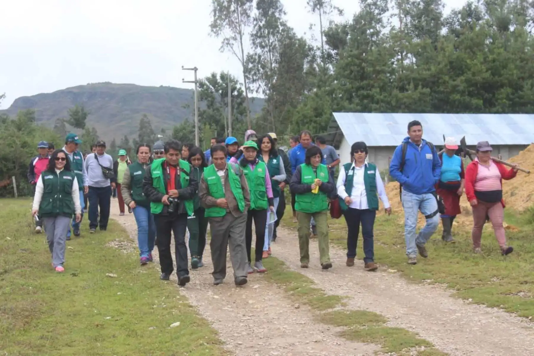 Alrededor de 1,500 familias campesinas del distrito de Sonche, en la provincia de Chachapoyas, lograrán salir de la pobreza y desarrollarse económicamente en tiempo record, gracias a las acciones de reforestación que ejecutó el Ministerio de Agricultura y Riego, a través de Agro Rural, en la Campaña de Plantación Forestal 2017-2018.