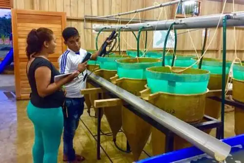 El Ministerio de Agricultura y Riego (Minagri) impulsó la instalación de 300 estanques piscícolas en la región Loreto para mejorar la calidad de vida de unas 800 familias dedicadas a la reproducción y crianza de peces.