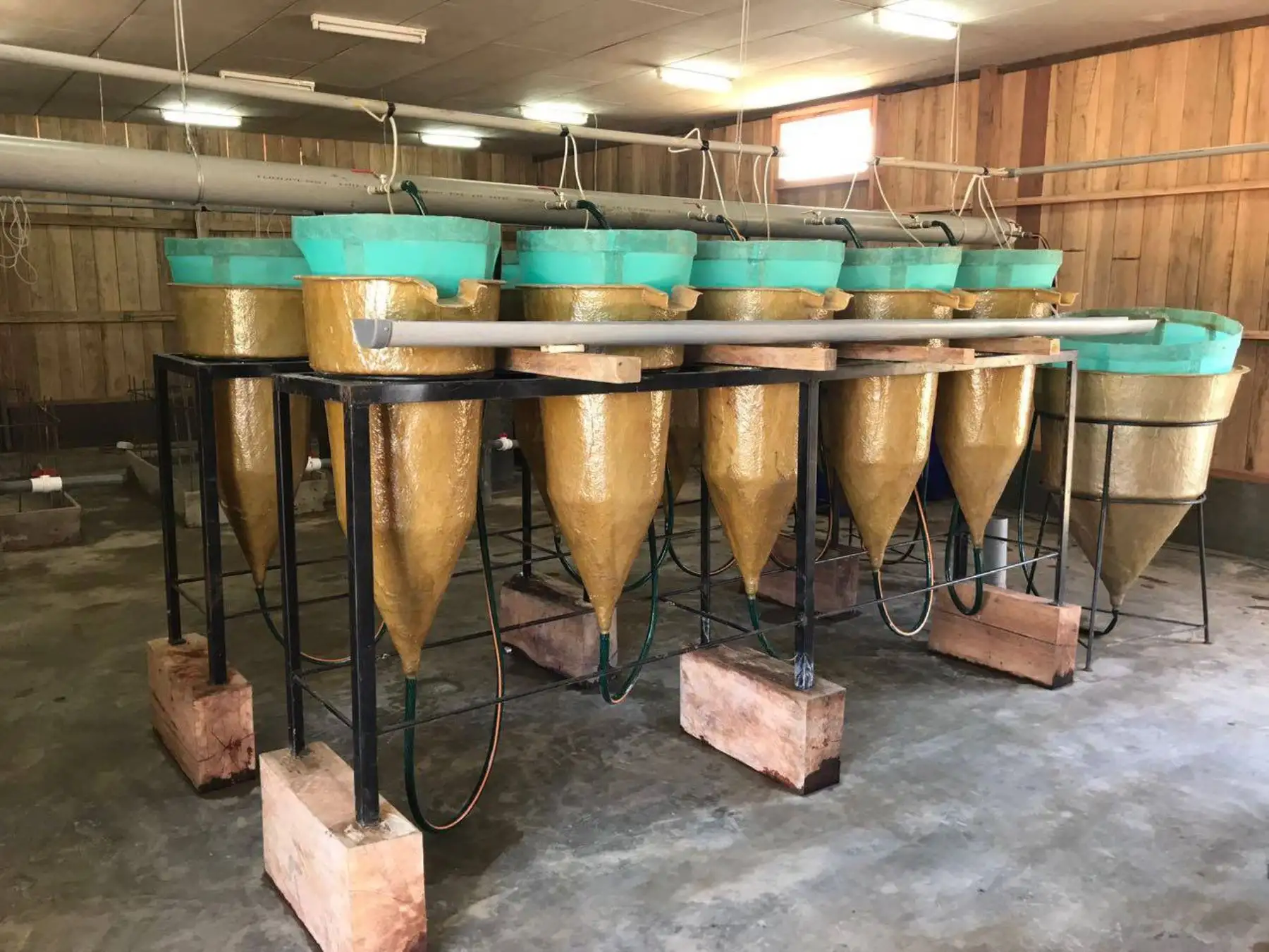 Planta de transformación de cacao en chocolate