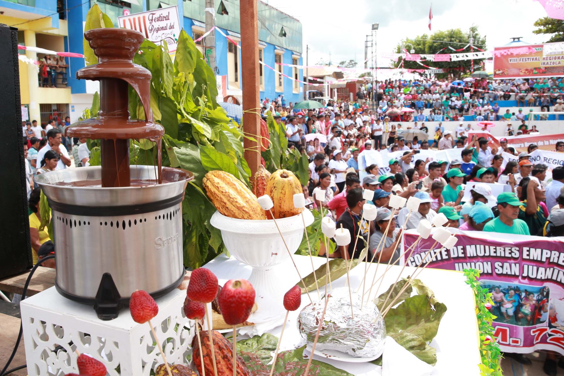 San Martín se prepara para el X Festival del cacao y chocolate 2018. ANDINA/Jhony Laurente