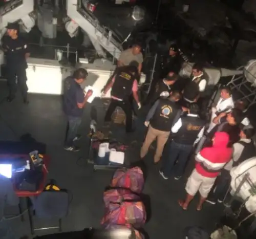 Incautan más de 350 kilos de marihuana en operativo en Cañete. Foto: Difusión.