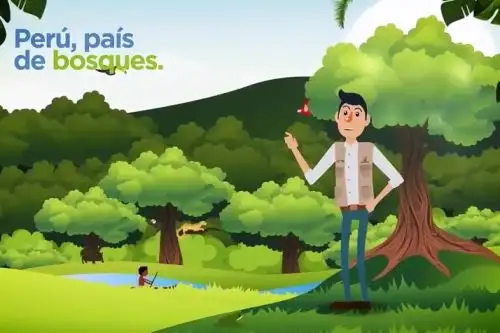 Con video educativo resaltan la importancia de los bosques. ANDINA/Difusión