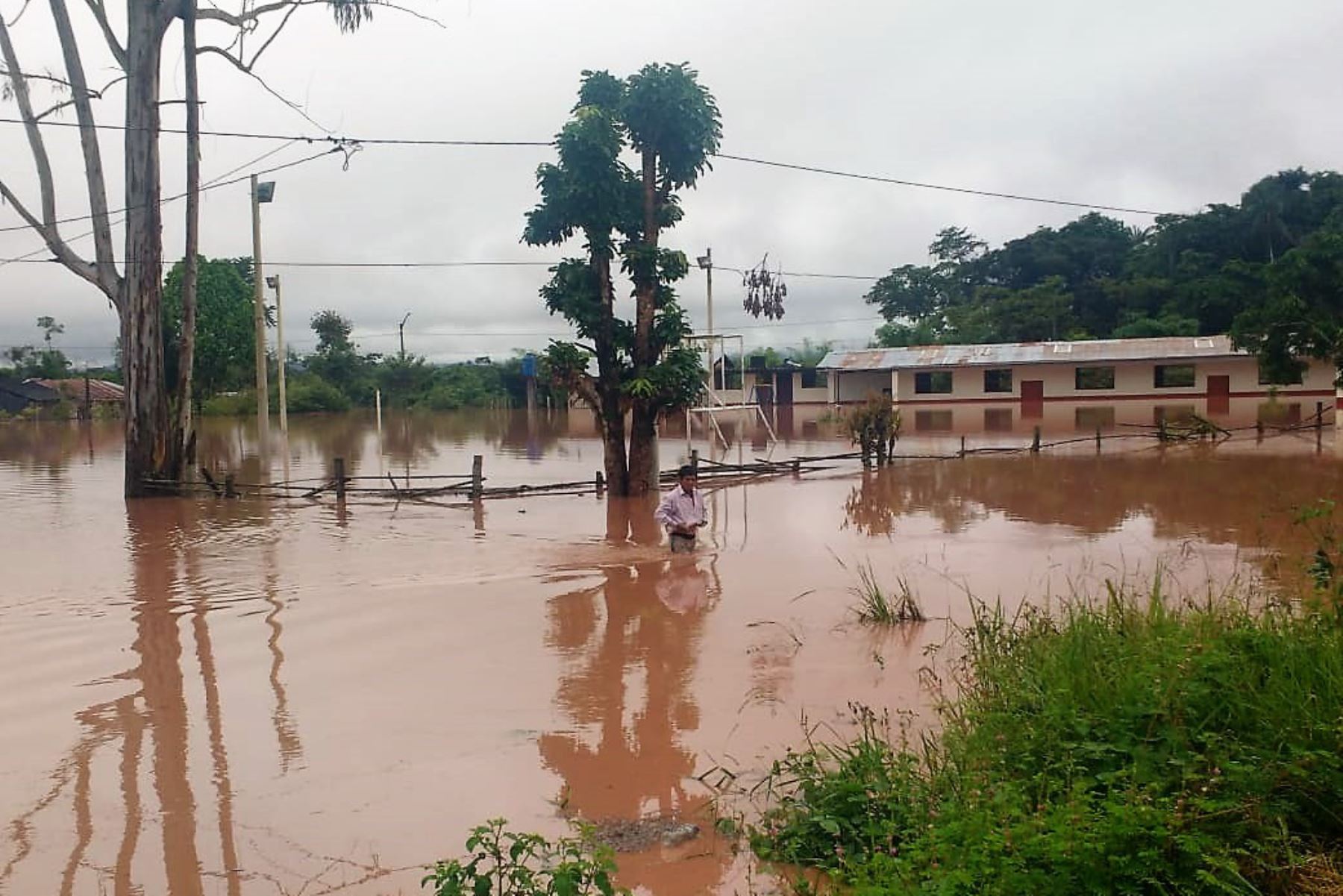 La región más afectada por las lluvias sería San Martín. ANDINA