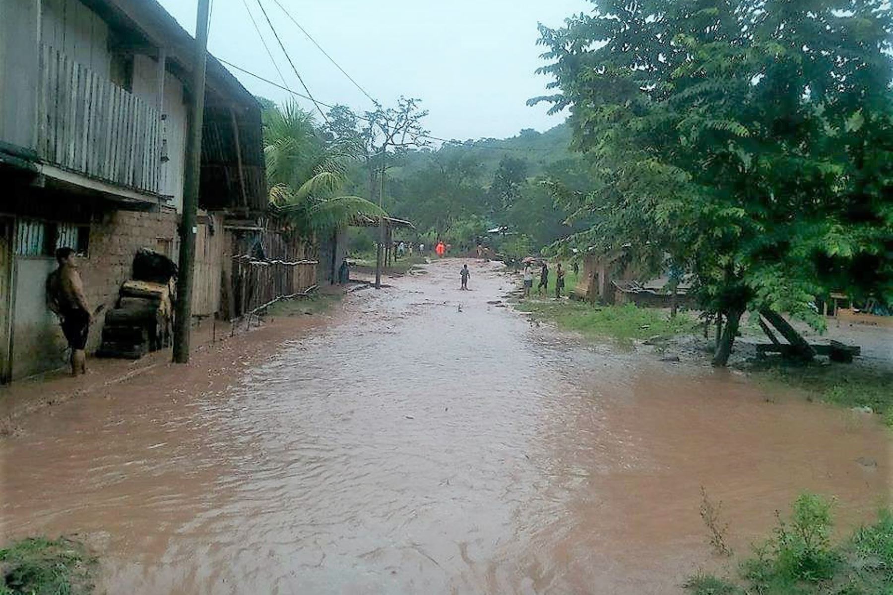 Localidades de Tabalosos y Caynarachi, en la provincia de Lamas, región San Martín, también registraron un día "extremadamente lluvioso". ANDINA