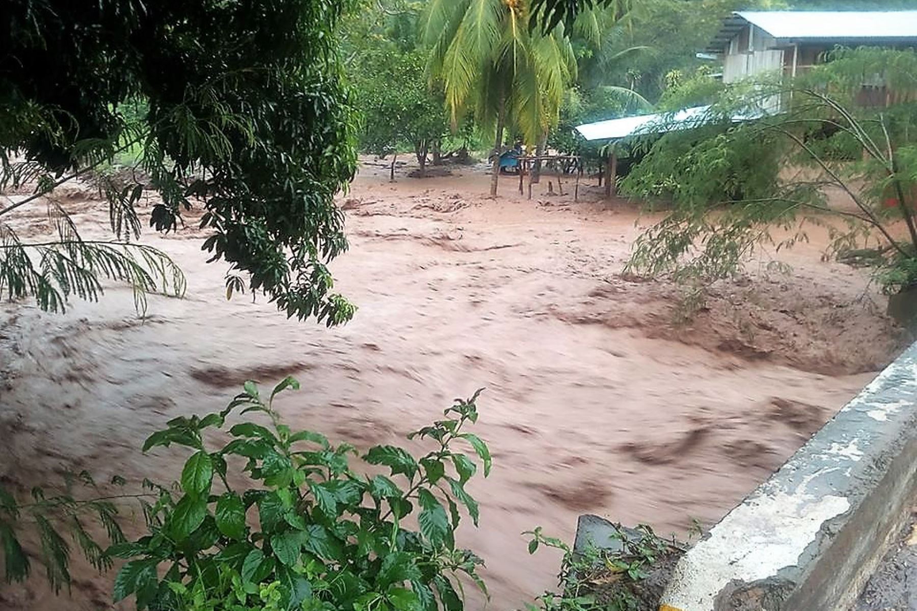 Dstrito de Caynarachi, en la provincia de Lamas (San Martín), registró mayor acumulado de lluvias en el país, con 33.6 milímetros de agua,ANDINA