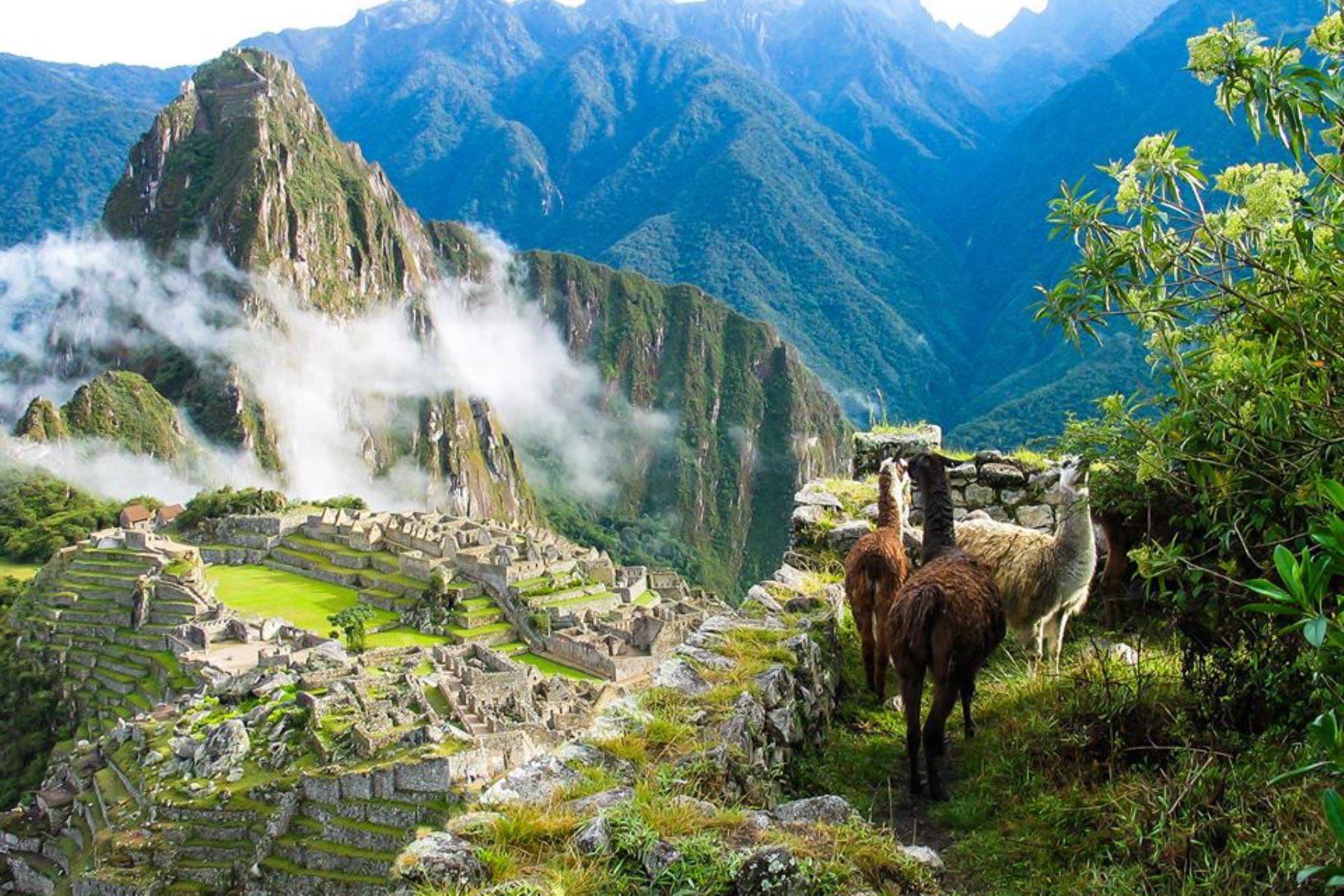 Estas son las 10 áreas naturales protegidas más visitadas del Perú ...
