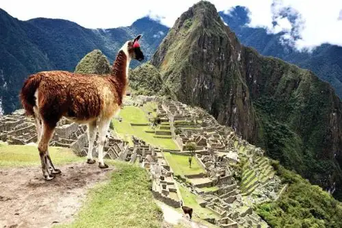 La ciudadela inca de Machu Picchu, el principal atractivo turístico del Perú, compite como “Destino Top de Ensueño” en un concurso virtual mundial, organizado por Virtuoso, una red de las mejores agencias de viajes de lujo, con más de 17,500 asesores en todo el mundo. Foto: Virtuoso