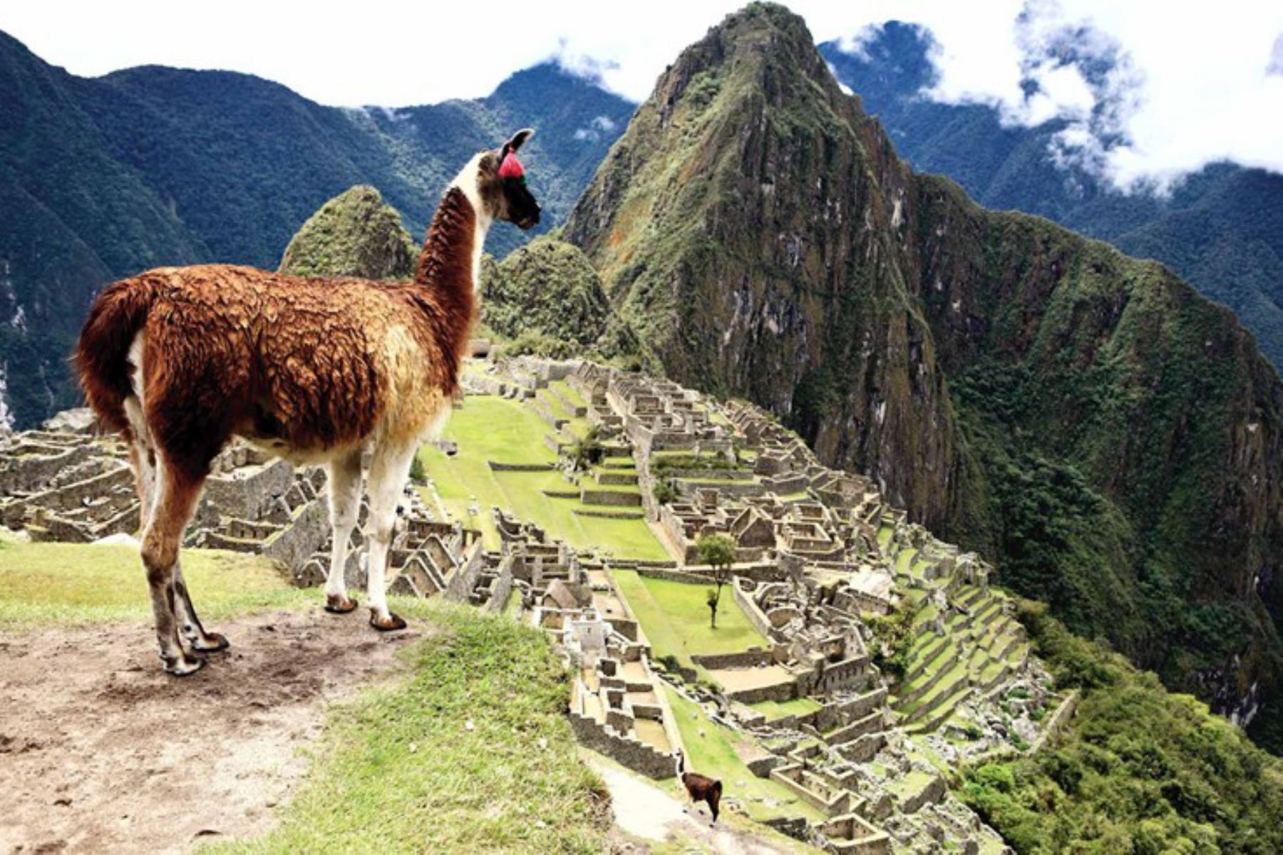El Santuario Histórico, creado el 8 de enero de 1981, está ubicado en el distrito de Machu Picchu de la provincia cusqueña de Urubamba. Tiene una extensión de 32,592 hectáreas. ANDINA/Difusión