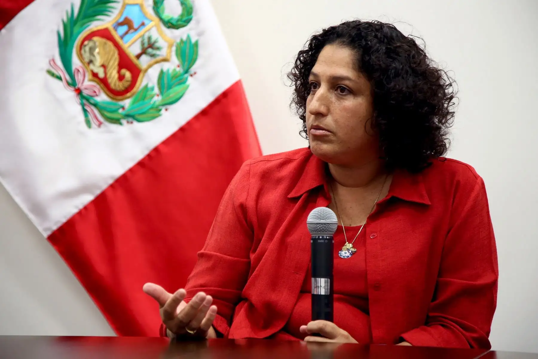Ministra del Ambiente, Fabiola Muñoz.