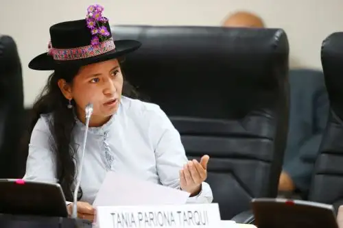 Foto: ANDINA/Melina Mejía.