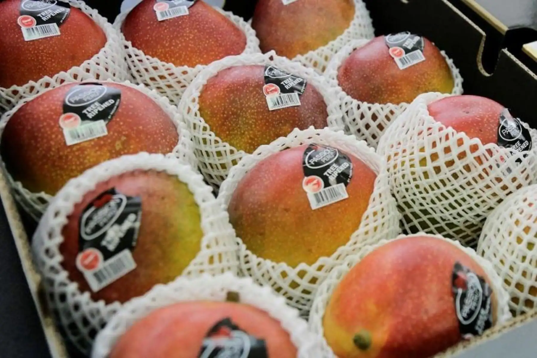 Mango de Casma para exportación. Foto: Cortesía Mincetur.