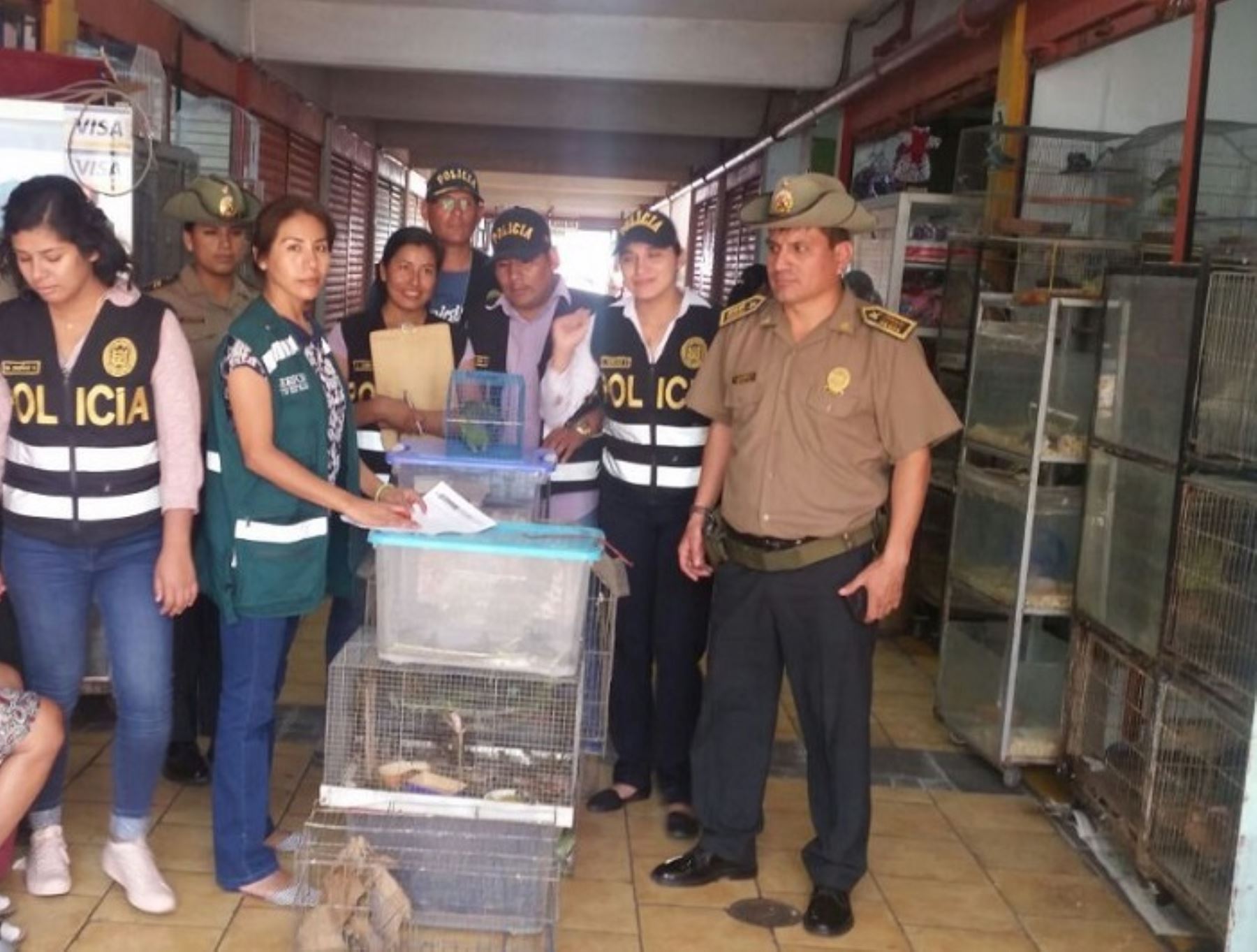 Policía y Serfor decomisan animales silvestres en Lima.