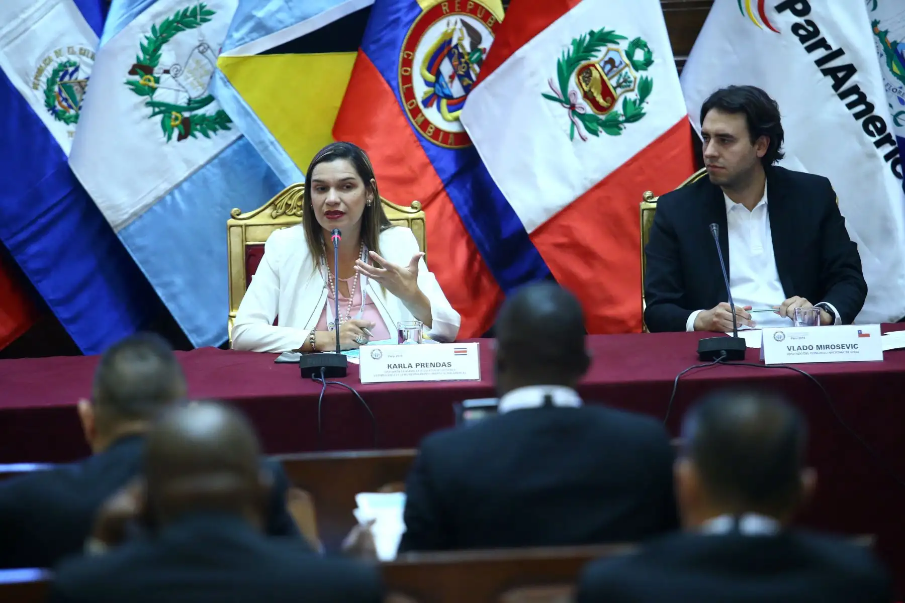 Parlamentaria Karla Predas durante su participación en el 3º Encuentro de ParlAmericas en la sesión: Lineamientos para desarrollar planes de acción del Parlamento Abierto. Foto: ANDINA/Melina Mejía
