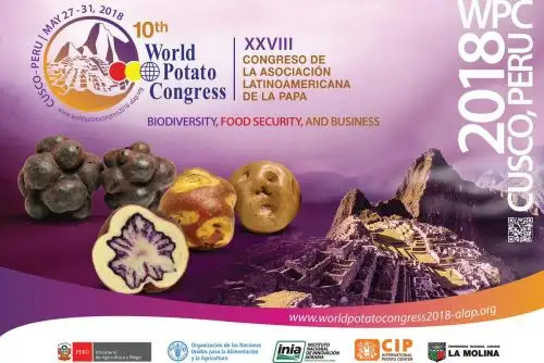 El Gobierno declaró hoy de interés nacional la realización del X Congreso Mundial de la Papa 2018 y el XXVIII Congreso de la Asociación de la Asociación Latinoamericana de la Papa (ALAP), que se llevarán a cabo en la región Cusco, del 27 al 31 de mayo próximo.