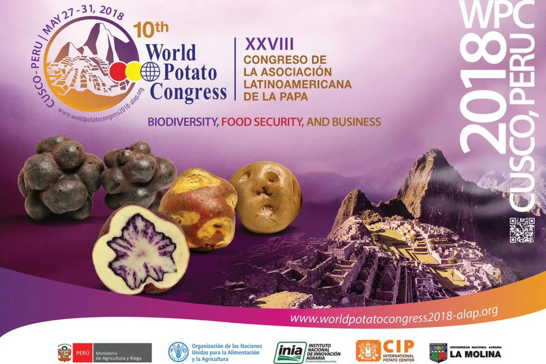 El Gobierno declaró hoy de interés nacional la realización del X Congreso Mundial de la Papa 2018 y el XXVIII Congreso de la Asociación de la Asociación Latinoamericana de la Papa (ALAP), que se llevarán a cabo en la región Cusco, del 27 al 31 de mayo próximo.