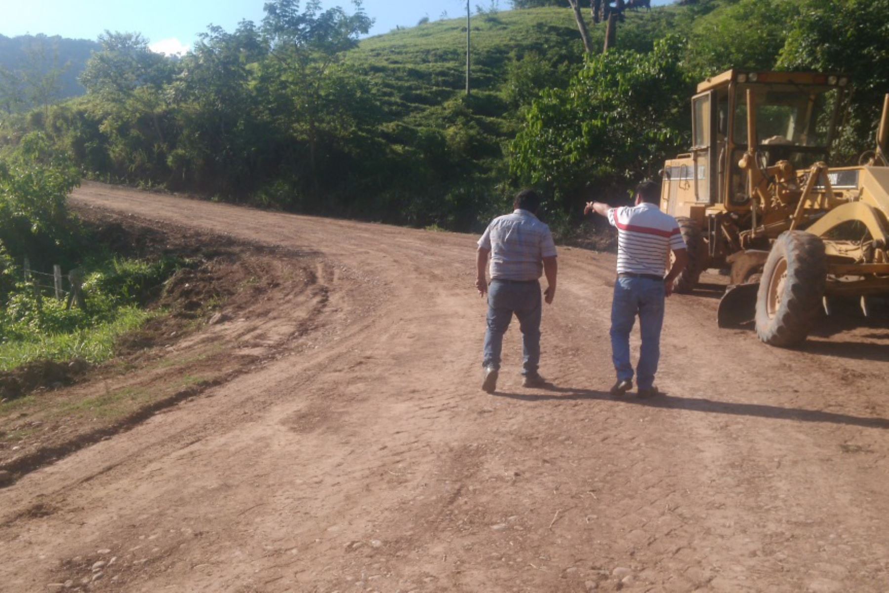 Una comisión técnica evaluará la posible ruta de la carretera Moyobamba-Balsapuerto que unirá San Martín con Loreto. ANDINA/Archivo