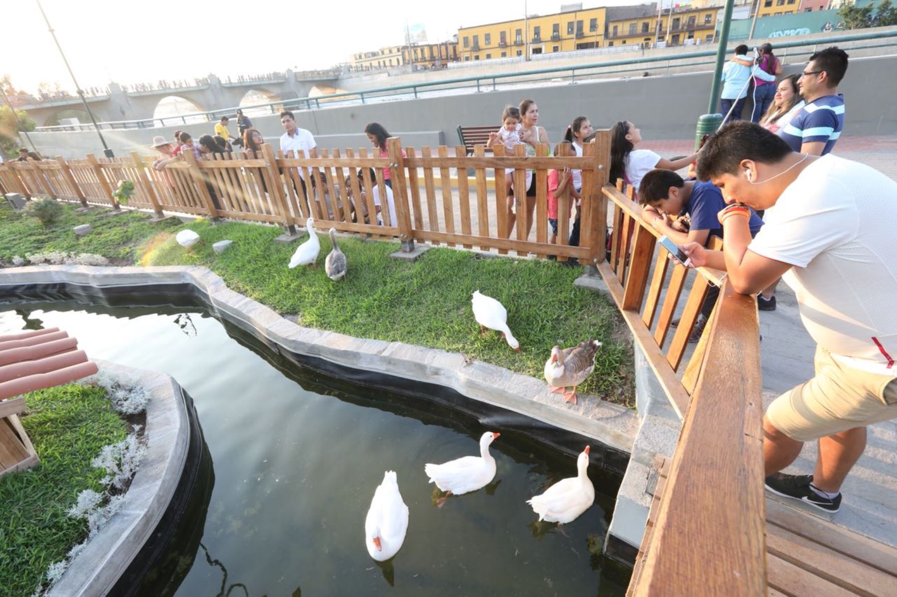 Municipio de Lima inauguró una moderna laguna artificial en el Parque de la Muralla. Foto: ANDINA/Difusión.