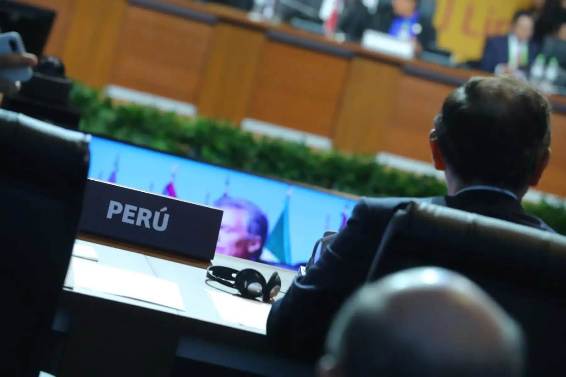 ANDINA/Prensa Presidencia