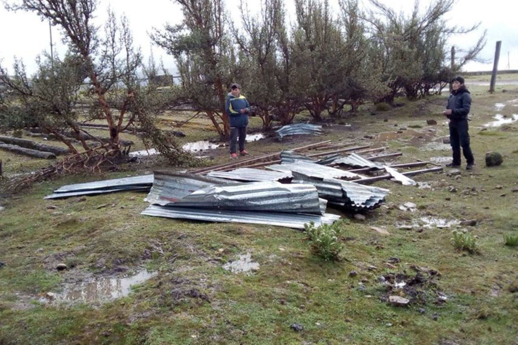 Vientos fuertes dejan sin techo a varias viviendas en Pasco. ANDINA