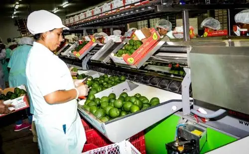 Exportaciones.Foto: ANDINA/Difusión.