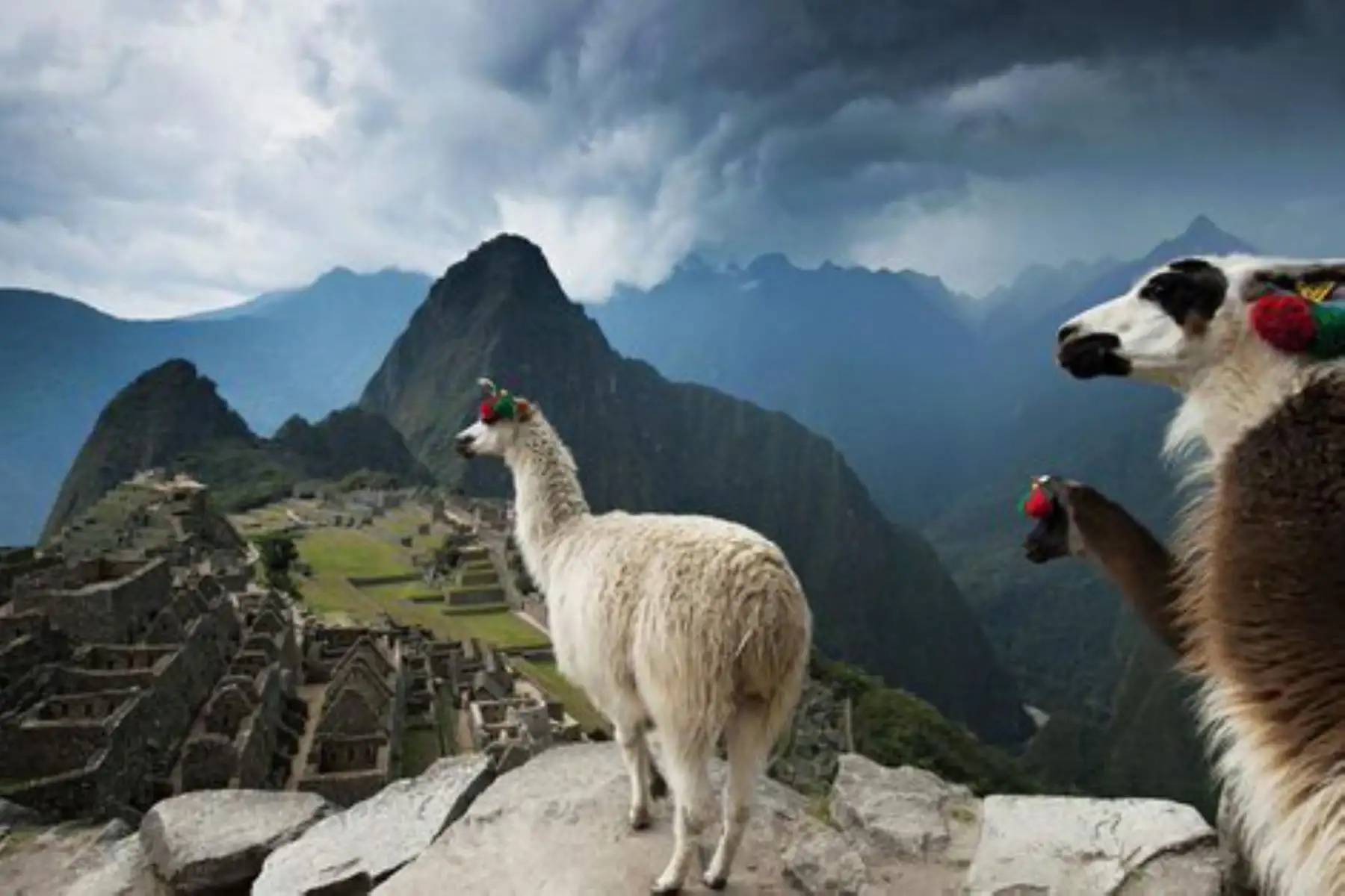 El encanto que irradia Machu Picchu en el mundo sigue cosechando elogios. Esta Vez, la prestigiosa publicación National Geographic vuelve a referirse a la ciudadela inca como una de las maravillas que invitan a viajar y que vale la pena conocer. Foto: Jim Richardson