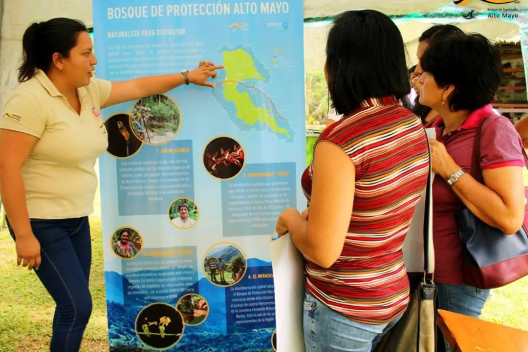 El Servicio Nacional de Áreas Naturales Protegidas por el Estado (Sernanp) lanzó hoy la convocatoria para la conformación de la tercera brigada de Hinchas de la Conservación del Bosque de Protección Alto Mayo, en la región San Martín.
