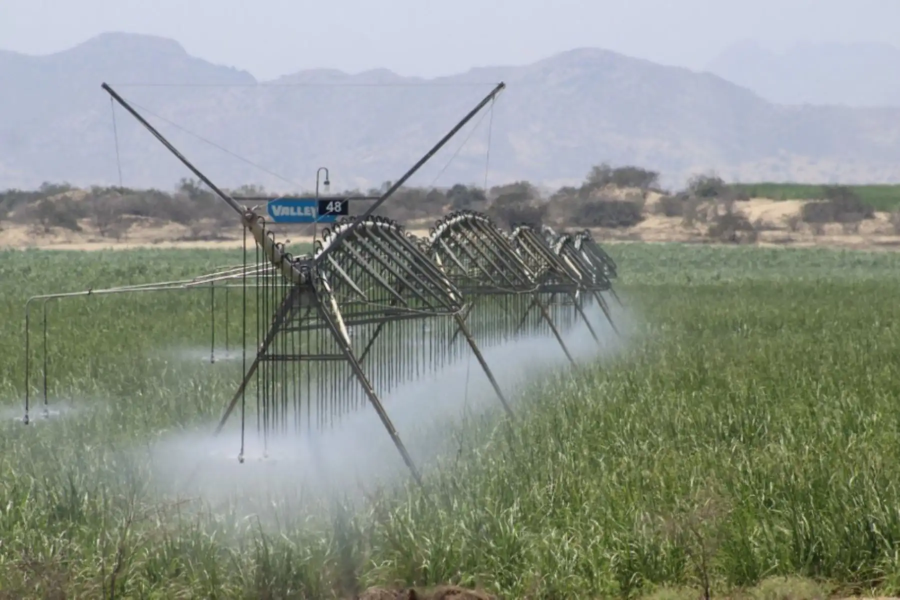El Ministerio de Agricultura y Riego (Minagri), a través del Programa Sub Sectorial de Irrigaciones, ha instalado en la sierra peruana 366 hectáreas de riego tecnificado por aspersión en cultivos de papa ubicados en las regiones Ayacucho, Cusco, Huancavelica y Junín.