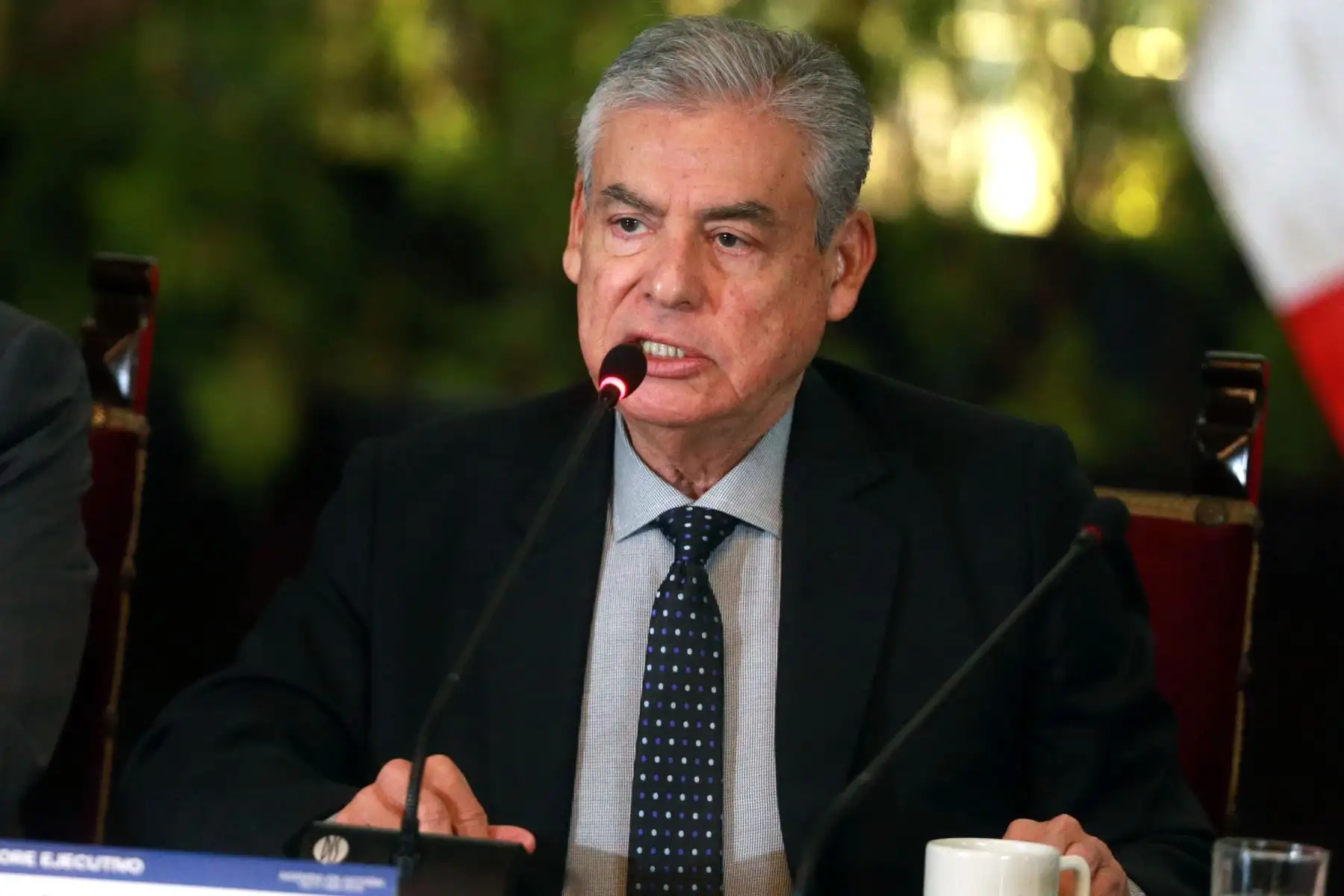 Foto: ANDINA/Vidal Tarqui.