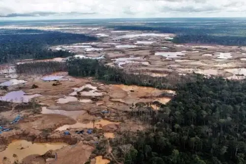 Amazonía peruana pierde 23,000 hectáreas de bosques en primer semestre de 2018. ANDINA/Difusión
