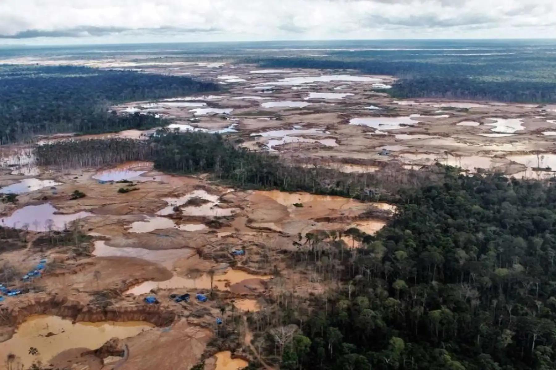 Amazonía peruana pierde 23,000 hectáreas de bosques en primer semestre de 2018. ANDINA/Difusión