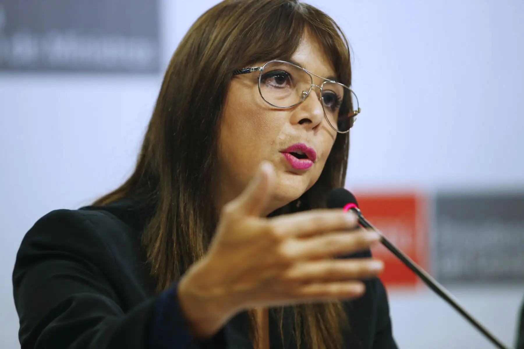 Foto:  ANDINA/Melina Mejía.