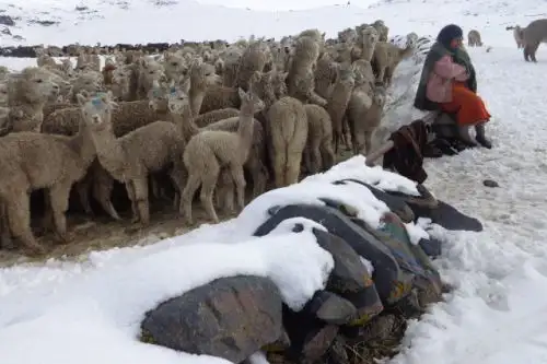 El Indeci recuerda que deben estar activos sus centros de operaciones de emergencia las 24 horas para coordinar las acciones de atención de posibles emergencias que se presenten como consecuencia de este evento. ANDINA/Difusión