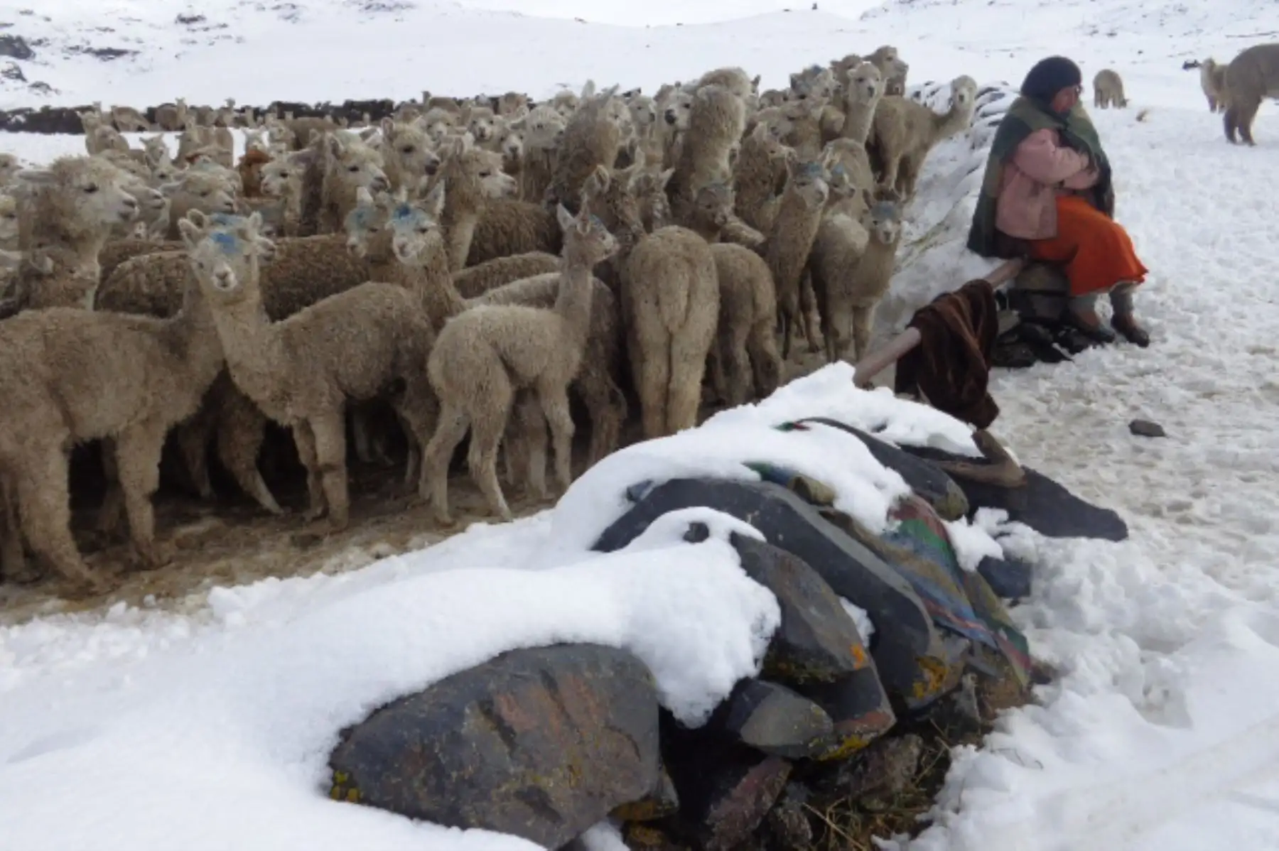 Temperaturas fluctuaron entre -5.4 y -4,2. grados Celsius.ANDINA/Difusión