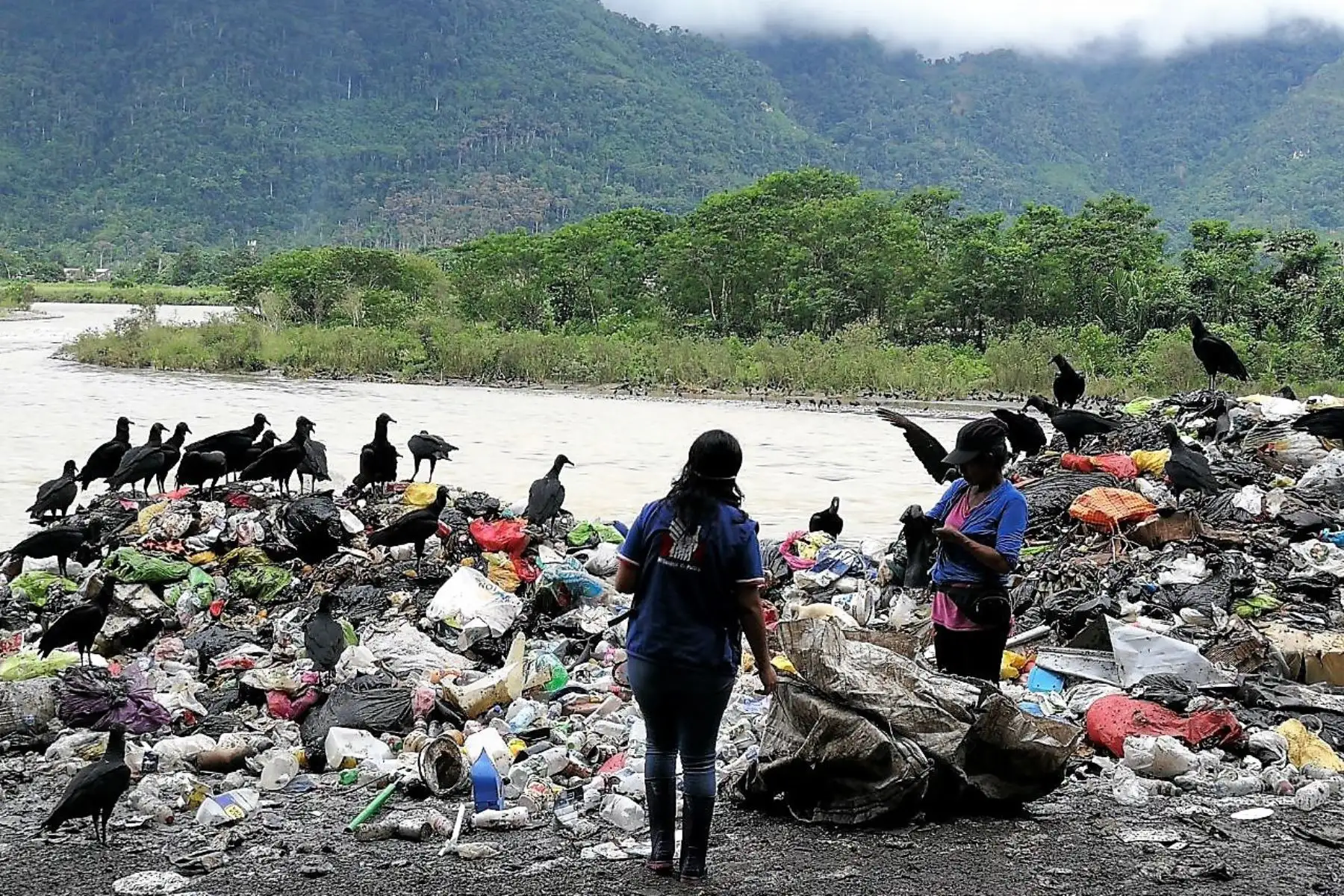 Defensoría demanda el cierre definitivo del botadero de Tingo María por generar grave contaminación ambiental. ANDINA/Difusión