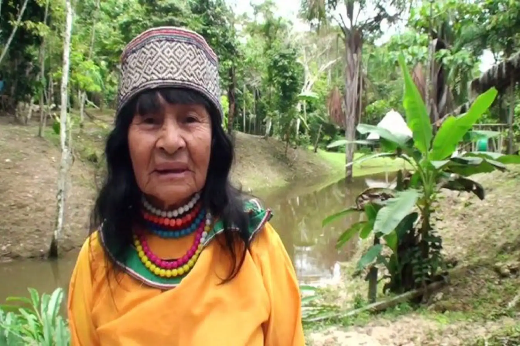 Asesinato del canadiense está vinculado a la muerte de la líder de la comunidad amazónica Shipibo-conibo, Olivia Arévalo. NTERNET/Medios